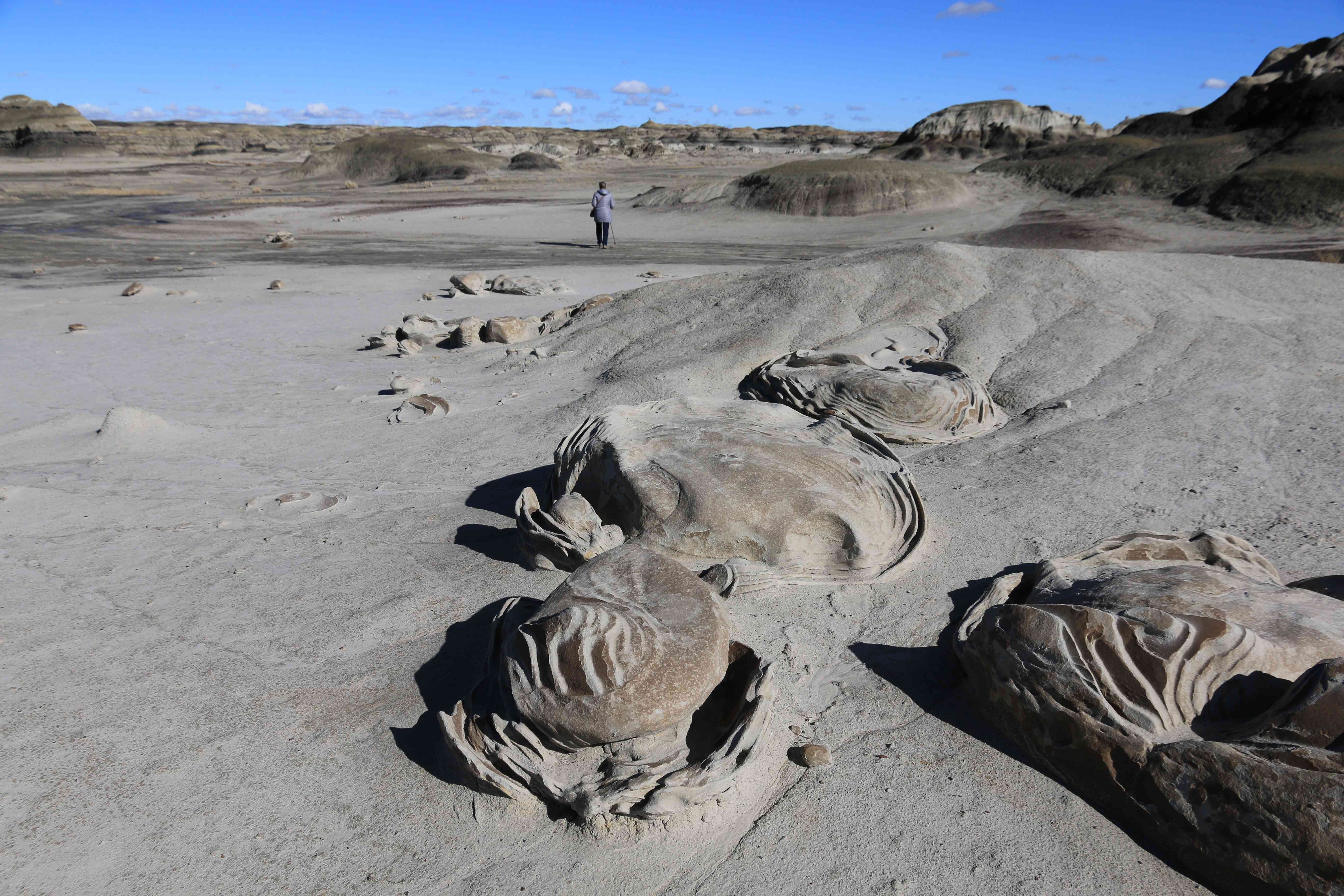 Bisti Badlands